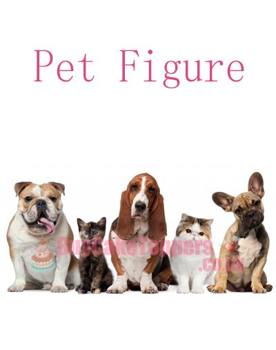 Pet Figure 